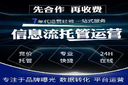 探索SEM服务托管的未来趋势及发展案例